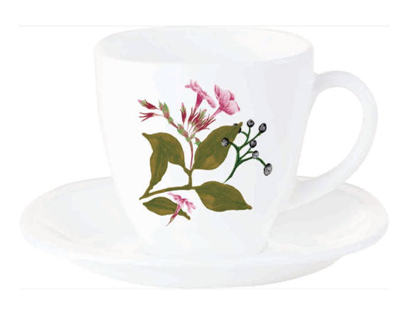 Luminarc Cup & Saucer