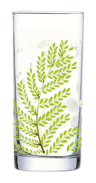 Luminarc Tumbler & Glass